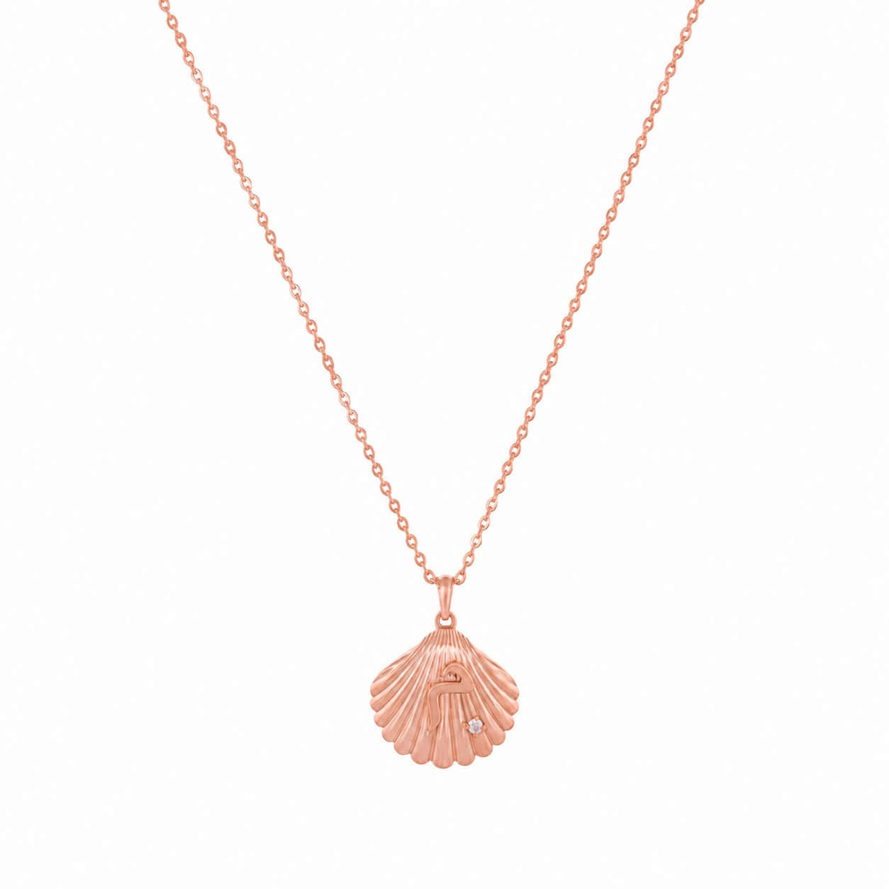 Shell Necklace