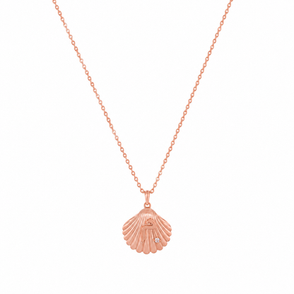 Shell Necklace