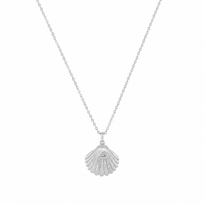 Shell Necklace