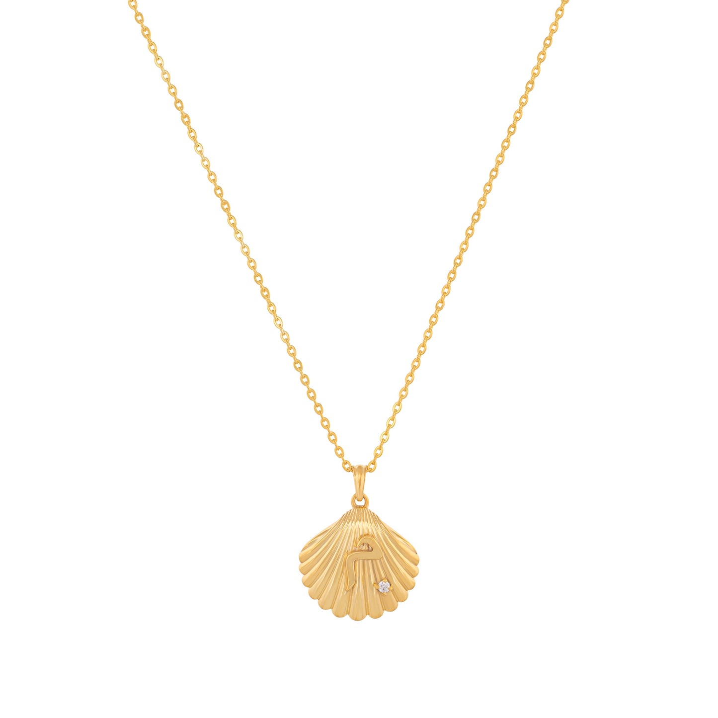 Shell Necklace