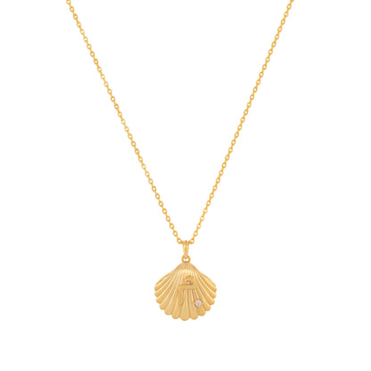 Shell Necklace