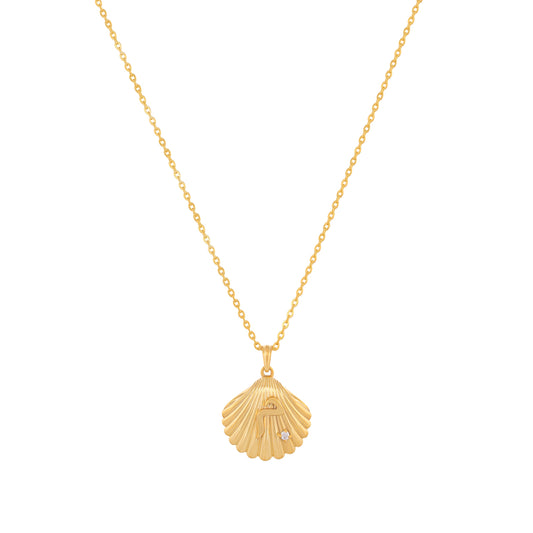 Shell Necklace